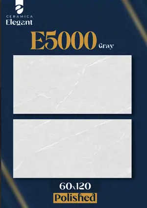 E5000 Gray