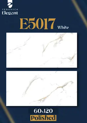 E5017  White
