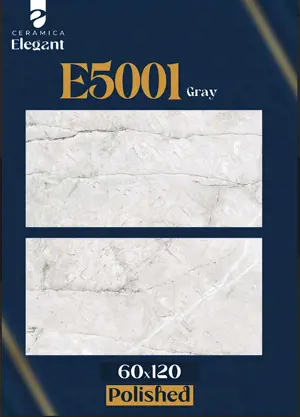 E5001 Gray