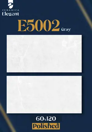 E5002 Gray