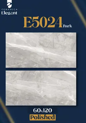 E5024  Dark